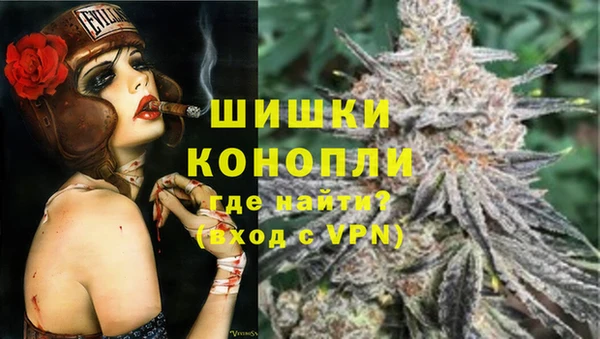 стафф Покачи